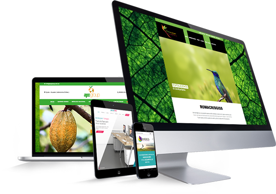 Paginas Web Informativas, Tiendas Online